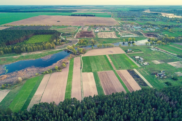 Luchtfoto van akkers dennenbos en platteland