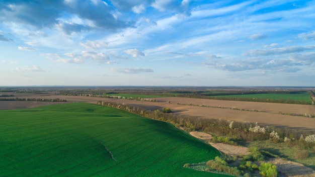 Luchtfoto van auto op de weg vanuit drone-oogpunt