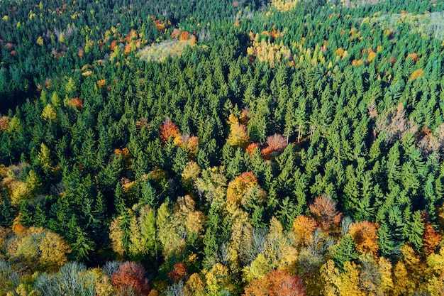 Luchtfoto van bergen bedekt met herfstbos