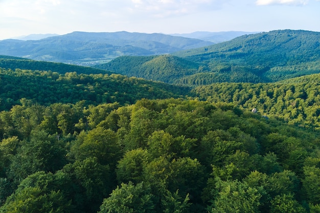 Luchtfoto van bergheuvels bedekt met dichte groene weelderige bossen op een heldere zomerdag.