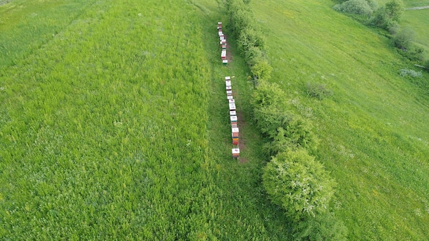 Luchtfoto van bijenhuis in groen veld