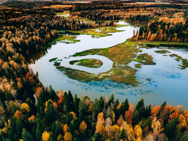 Luchtfoto van blauwe kronkelende rivier met herfstbos met kleurrijke herfstbomen