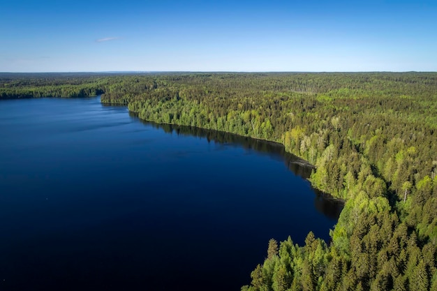 Luchtfoto van blauwe meren en groene bossen op een zonnige zomerdag in karelië