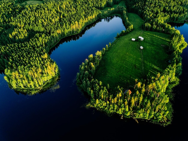 Luchtfoto van blauwe meren en groene bossen op een zonnige zomerdag op het platteland van Finland Dronefotografie van bovenaf