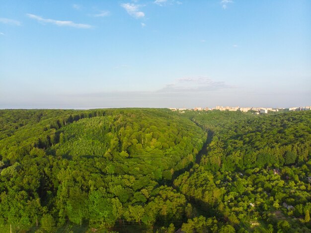 Luchtfoto van bos met blauwe lucht