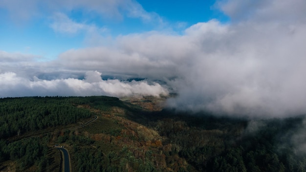 luchtfoto van bos