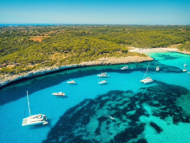Luchtfoto van boten luxe jachten groene bomen en transparante zee in zonnige heldere dag in Mallorca Spanje zomer landschap met baai azuurblauwe water strand blauwe hemel Balearen bovenaanzicht reizen