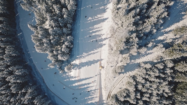 Luchtfoto van boven naar beneden van sneeuw berg spar bos winter niemand natuur landschap sparren hout op de berg dennen