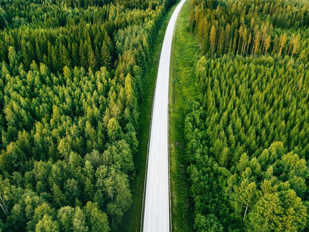 Luchtfoto van bovenaf van landweg door het groene zomerbos in de zomer Finland drone fotografie