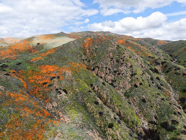 Luchtfoto van de berg met California Golden Poppy en Goldfields die bloeien in Walker Canyon