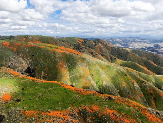 Luchtfoto van de berg met California Golden Poppy en Goldfields die bloeien in Walker Canyon