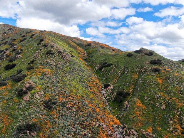 Luchtfoto van de berg met California Golden Poppy en Goldfields die bloeien in Walker Canyon