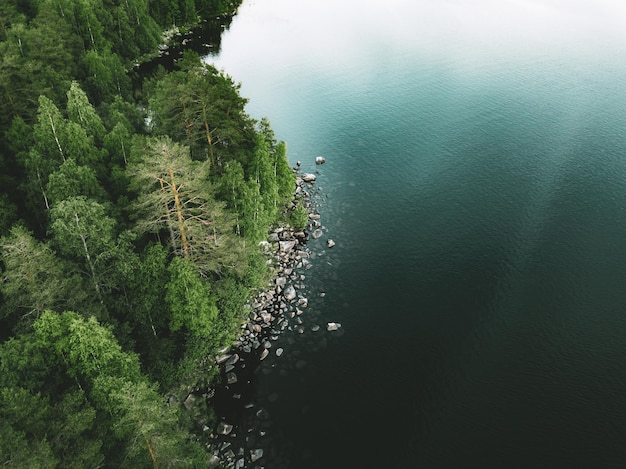 Foto luchtfoto van de blauwe stenen oever van het meer en groene bossen met pijnbomen in finland