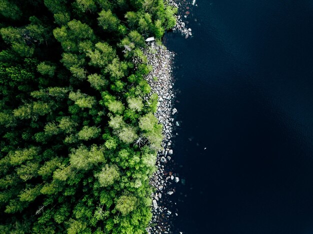 Luchtfoto van de blauwe stenen oever van het meer en groene bossen met pijnbomen in Finland