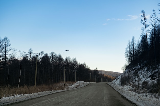 Luchtfoto van de bossen van de rivier en de taiga en de weg in het abstracte winterlandschap van de lente van de noordelijke natuur met drone