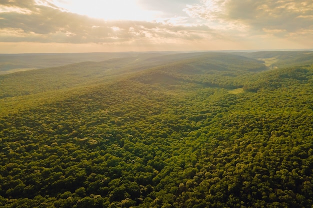 Luchtfoto van de dronevlucht over het regenwoud met een formidabele zonsondergang prachtige zonsopgang boven het groene bos