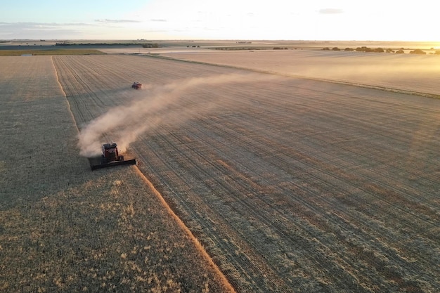 Luchtfoto van de gerstoogst in La Pampa, Argentinië