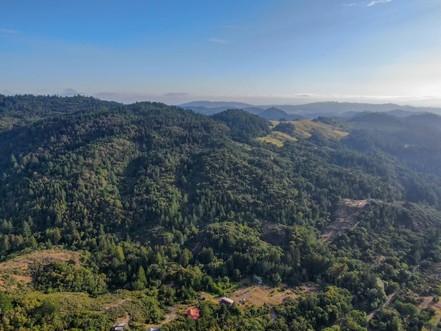 Luchtfoto van de groene heuvels met bomen in Napa Valley, Californië, VS