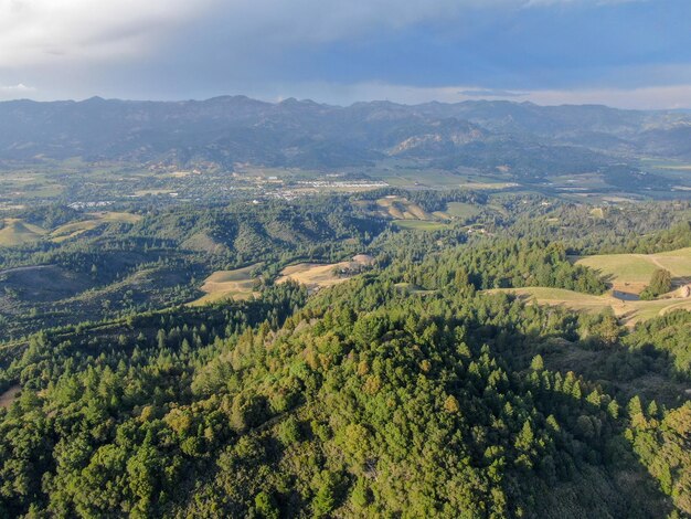 Luchtfoto van de groene heuvels met bomen in Napa Valley, Californië, VS