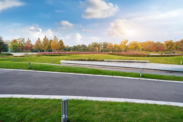 Luchtfoto van de grond van de openlucht groene parkweg