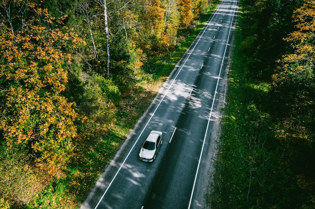 Luchtfoto van de herfstweg met kleurrijke bomen in het bos