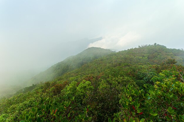 Luchtfoto van de jungle van BorneoRegen op de bergLuchtfoto van de jungle van Borneo