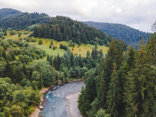 Luchtfoto van de Karpaten met rivier zomertijd