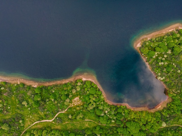 Luchtfoto van de kust van het meer met bos