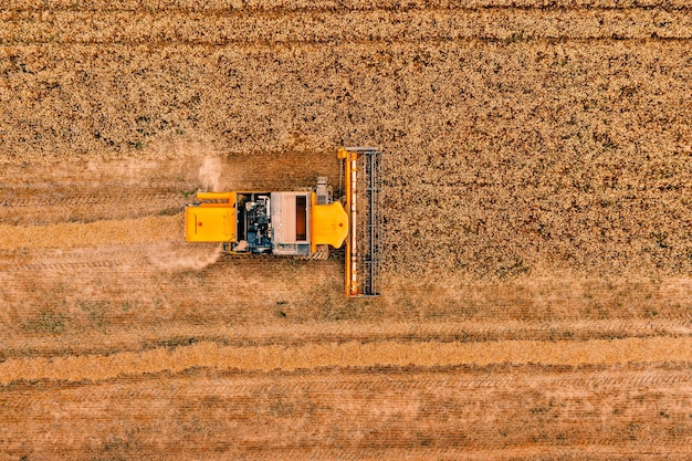 Luchtfoto van de maaidorser-landbouwmachine die aan het gouden rijpe tarweveld werkt