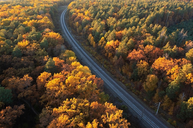 Luchtfoto van de verharde weg door het loofbos in de herfst