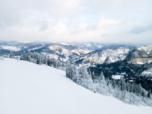 Luchtfoto van de winter karpaten