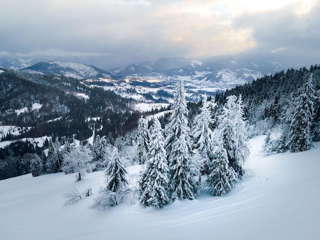 Luchtfoto van de winter Karpaten