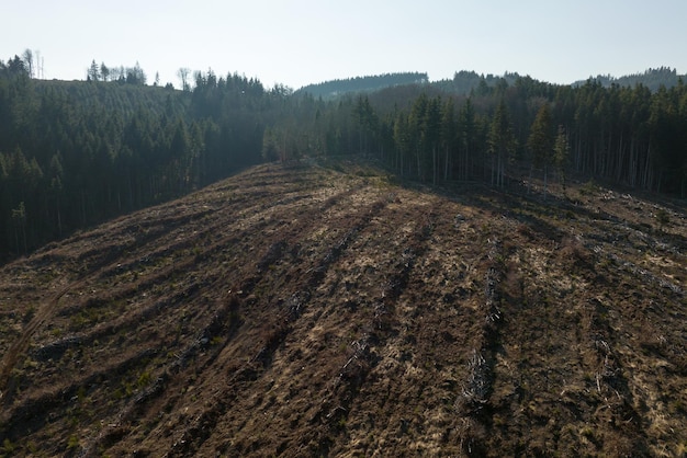 Luchtfoto van dennenbos met een groot gebied van omgehakte bomen als gevolg van de wereldwijde ontbossingsindustrie schadelijke menselijke invloed op de wereldecologie