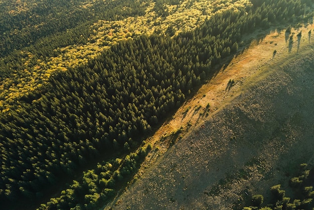 Luchtfoto van donkere gemengde dennen en weelderig bos met groene en gele bomen luifels in de herfst bergbossen