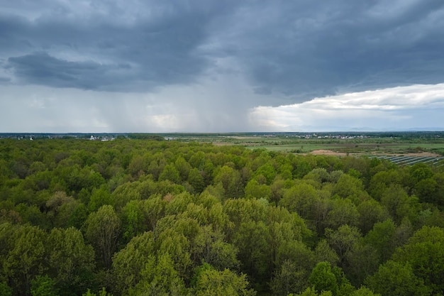 Luchtfoto van donkergroen weelderig bos met dichte bomenluifels in de zomer