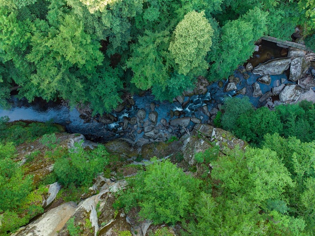Luchtfoto van een beek in het bos in het Rodopegebergte in de buurt van de stad Devin