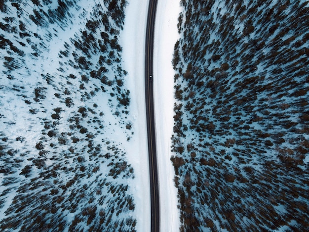 Luchtfoto van een besneeuwd bos met een weg