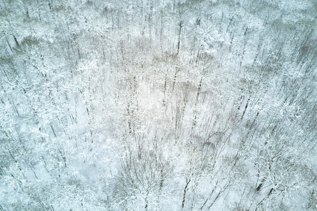 Luchtfoto van een besneeuwd bos