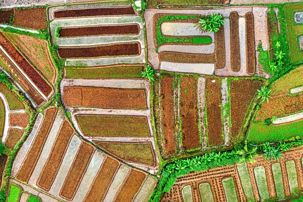 Foto luchtfoto van een boerderij