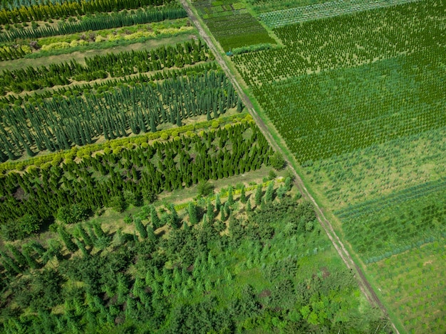 Luchtfoto van een boomkwekerij voor landschapsarchitectuur