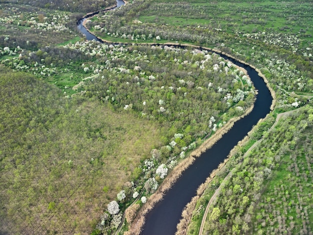 Luchtfoto van een drone van een grote groene meadoq en bos en een grote blauwe bochtige rivier