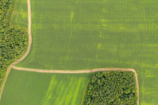 Luchtfoto van een drone van een land met gezaaide groene velden op het platteland
