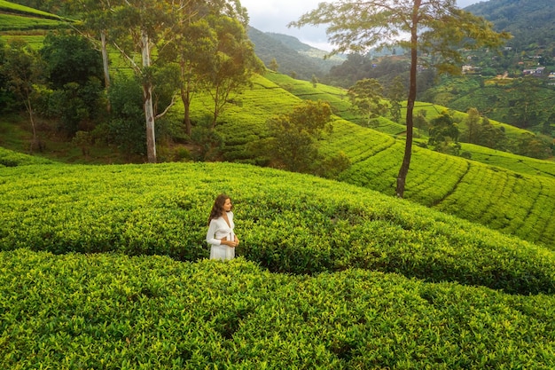 Luchtfoto van een duurzame groene theeplantage met een vrouwelijke reiziger in Sri Lanka