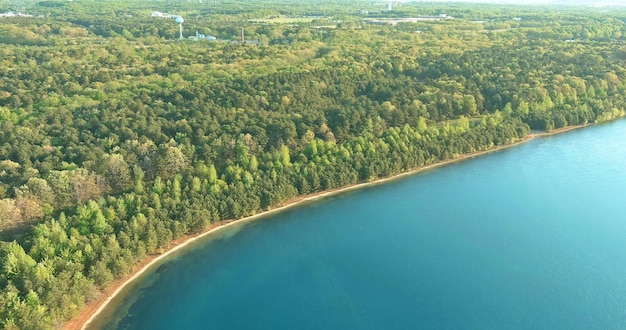 Luchtfoto van een groene bosvijver in de zomer