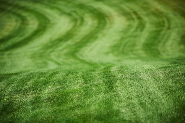Luchtfoto van een groene golfbaan