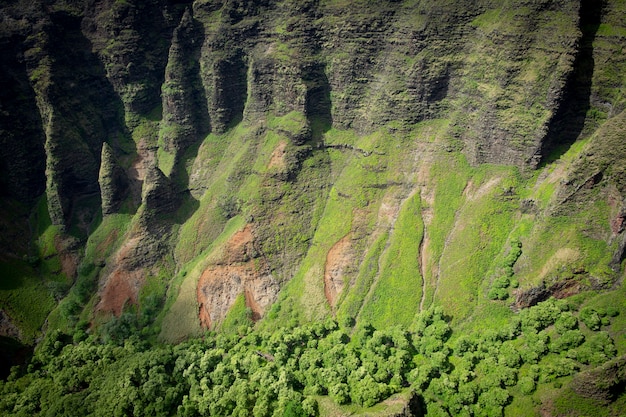 Foto luchtfoto van een groene vallei in kauai hawaii
