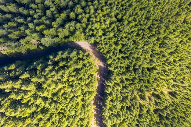 Luchtfoto van een kronkelende weg door een bos