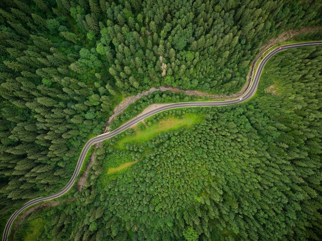 Luchtfoto van een naaldbos waar een kronkelende weg doorheen loopt in de bergen