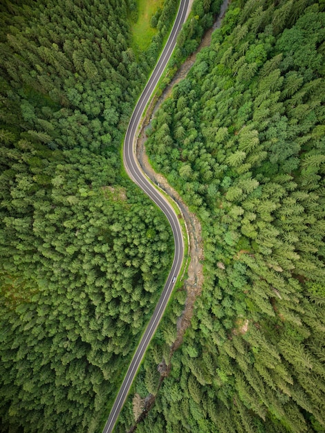 Luchtfoto van een naaldbos waar een kronkelende weg doorheen loopt in de bergen