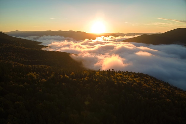 Luchtfoto van een prachtig landschap met mistige donkere bergbosdennenbomen bij herfstzonsopgang Prachtig wild bos met stralende lichtstralen bij zonsopgang